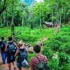 گردش‌های ماجراجویانه در تایلند