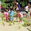مزرعه‌های بامزه در بانکوک برای تفریح کودکان 