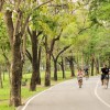  ۵ مسیر دوچرخه سواری در بانکوک