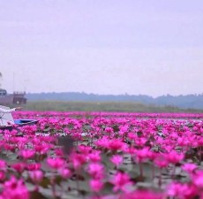 سفر به عاشقانه‌ترین نقاط تایلند