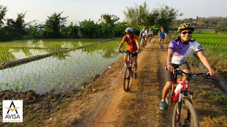 معرفی تورهای دوچرخه‌سواری چیانگ مای