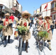 فستیوال‌های بهاره ترکیه، پیشنهادی ویژه برای سفر‌های نوروزی