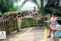 بهترین و مجهز‌ترین باغ وحش‌های دنیا که باید با فرزندتان ببینید