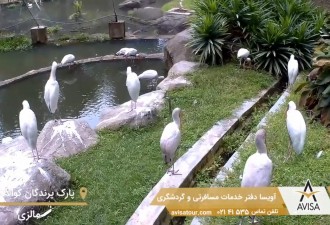  باغ زیبای پرندگان کوالالامپور را ببینید
