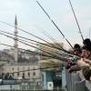 ماهیگیری تفریحی در استانبول را امتحان کنید