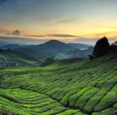 ۸ دلیل برای سفر به ایپوه در مالزی