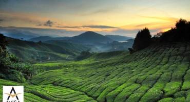 ۸ دلیل برای سفر به ایپوه در مالزی