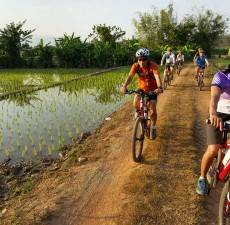معرفی تورهای دوچرخه‌سواری چیانگ مای