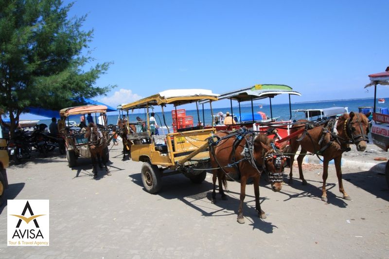 اسب سواری یا سیدمو در بالی