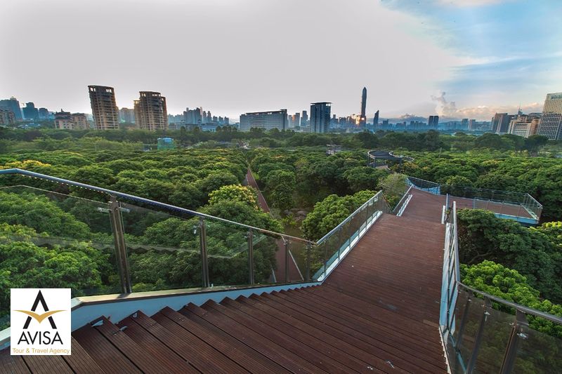شنزن غنی‌ترین شهر چین در داشتن فضای سبز