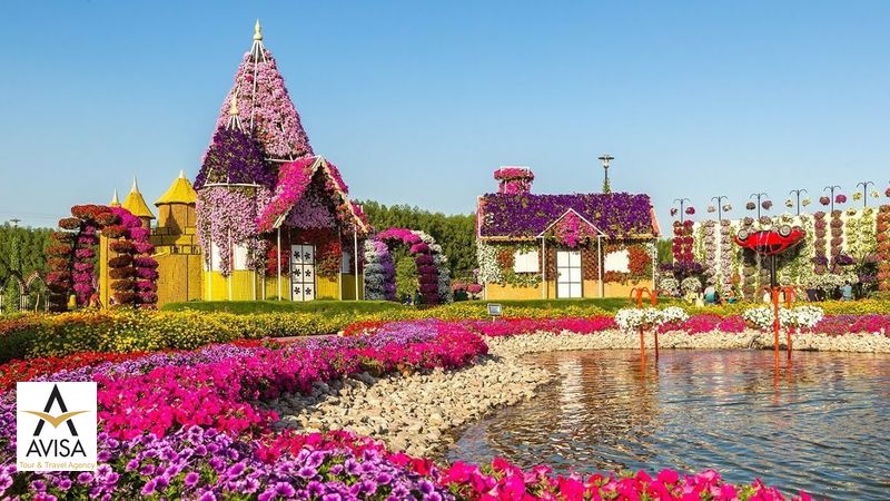 miracle-garden-dream-house