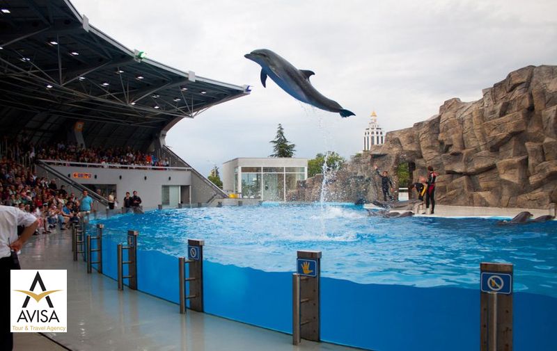 batumi-dolphinarium