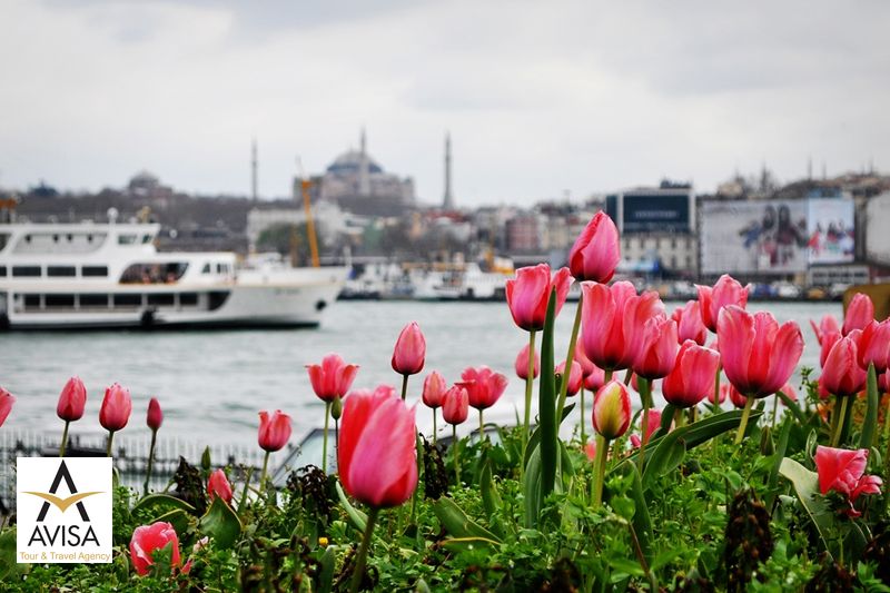 tulip-festival-istanbul