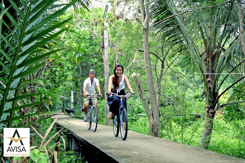 دوچرخه‌ سواری در جنگل بانگ کرا جائو