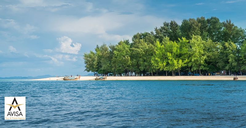 جزیره بامبو