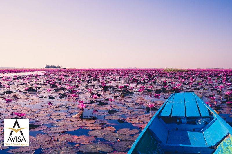 red-lotus-boating
