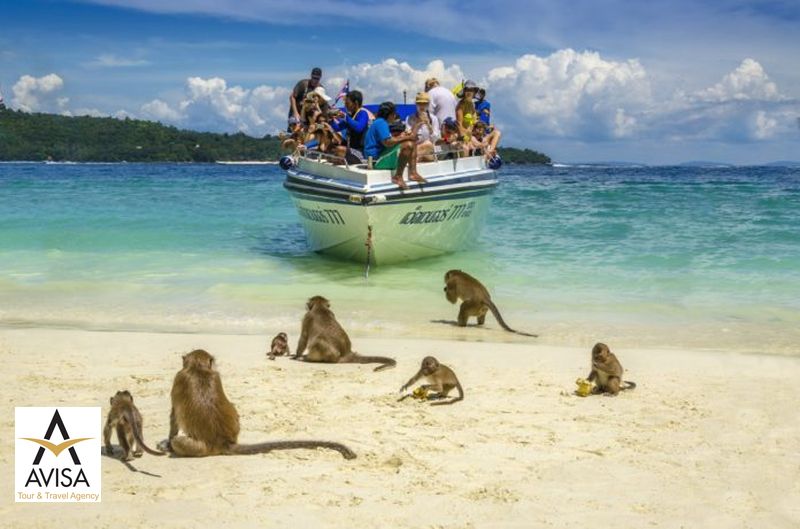 ساحل میمون‌ها