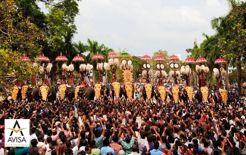 هند، فستیوال فیل