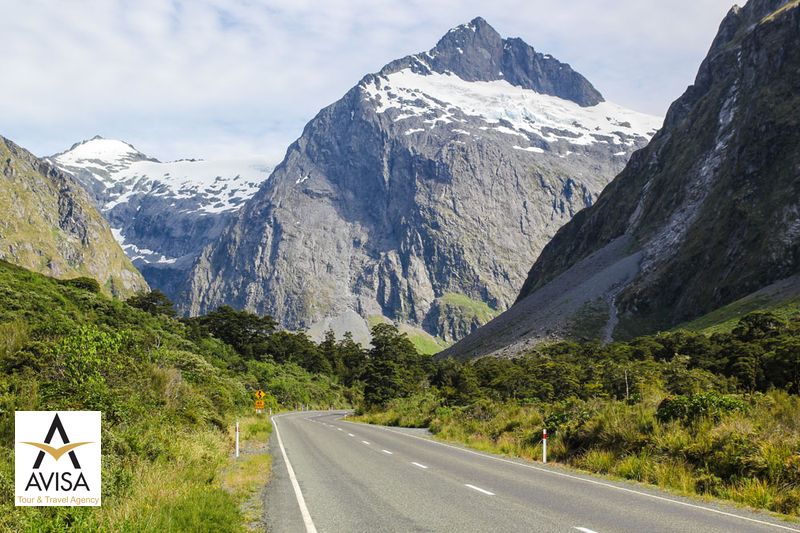 نیوزلند، جاده میلفرد