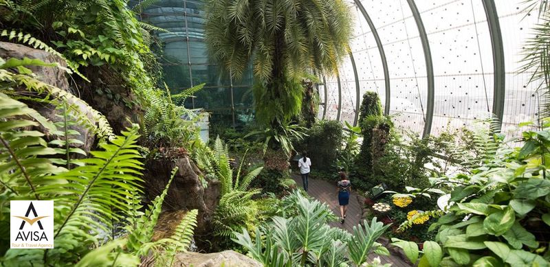 سنگاپور، باغ پروانه فرودگاه چانگی