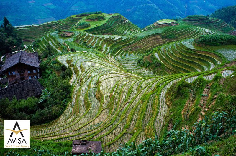 چین، تراس برنج لنگجی