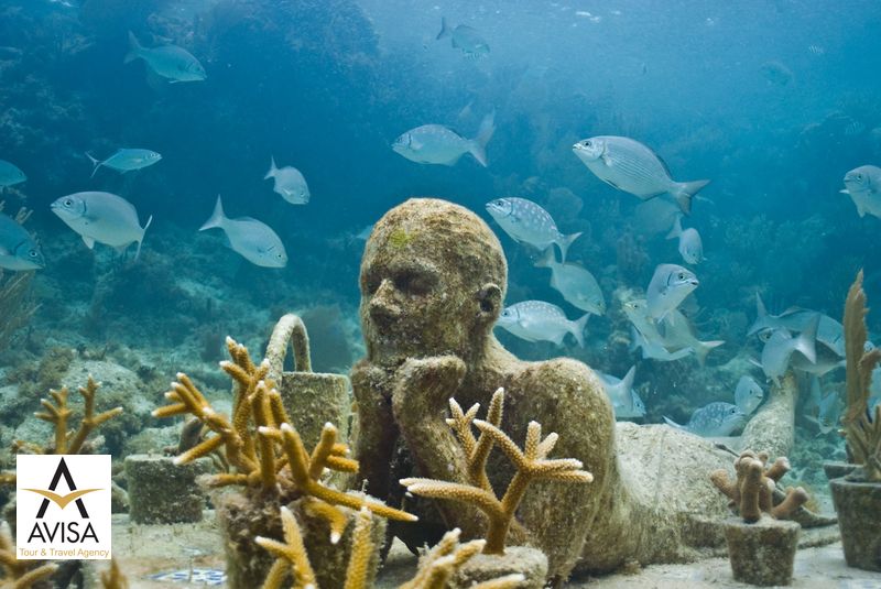 نمایشگاه زیر آب محلی‌ها، مکزیک