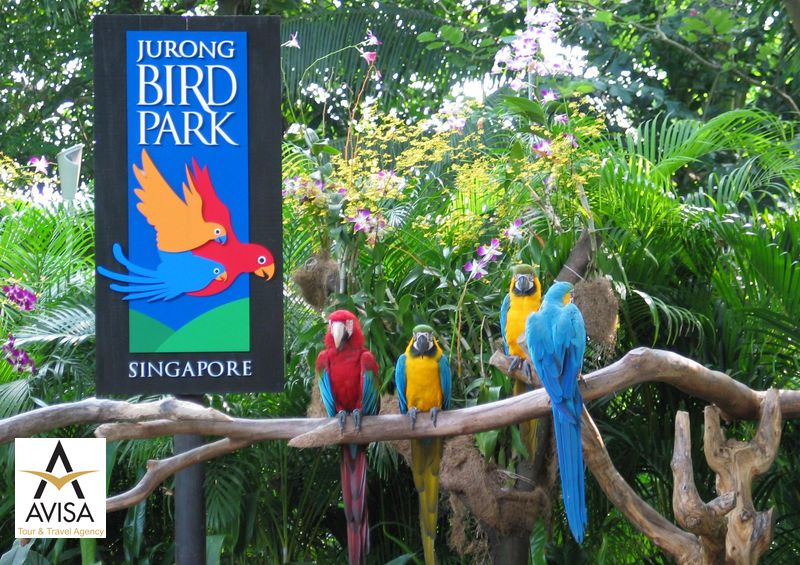 سنگاپور، پارک پرندگان جورنگ