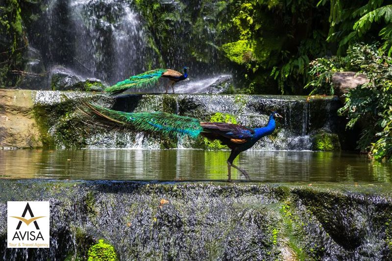 مالزی، باغ پرندگان کوالالامپور
