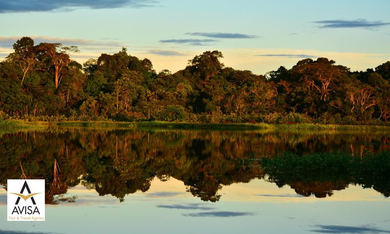 پارک ملی یاسونی (اکوادور)