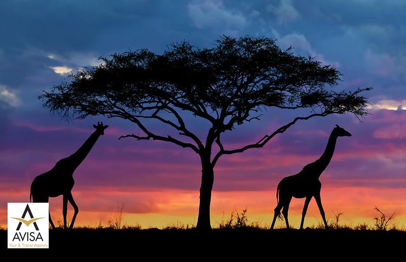 serengeti-sunset