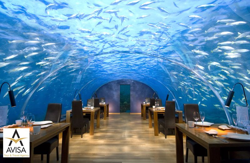 رستوران Ithaa، مالدیو